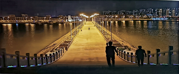 河北省滄州市渤海新區(qū)貝殼湖戰(zhàn)備路綠化項目