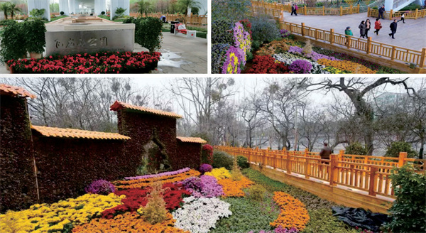 贛州市飛龍島園林景觀項目